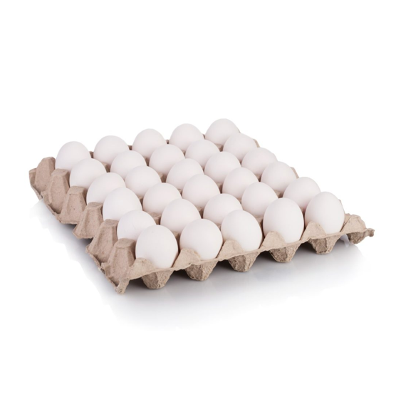 EGG LOOSE XL