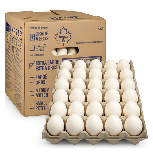 EGG LOOSE XL