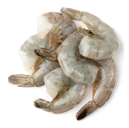SHRIMP ECUADOR HLSO
