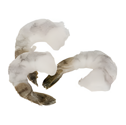 SHRIMP WHITE P&D INDIA 26-30