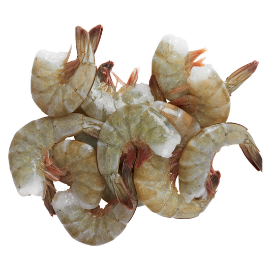 SHRIMP ECUADOR HLSO 41-50
