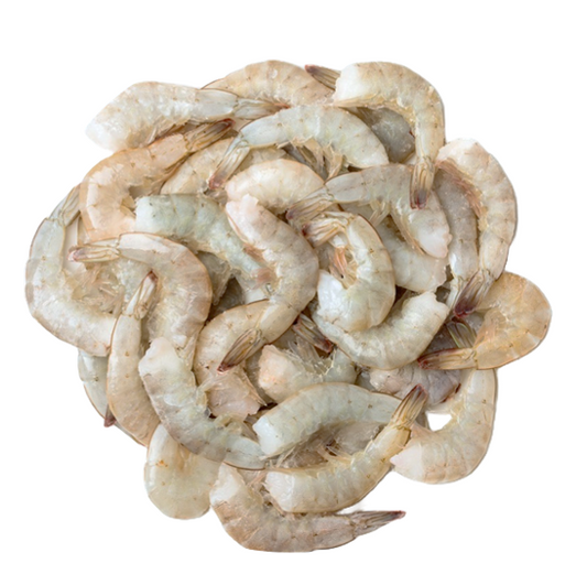 SHRIMP ECUADOR HLSO 51-60