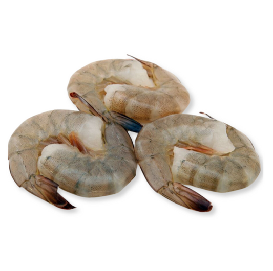 SHRIMP ECUADOR HLSO 36-40