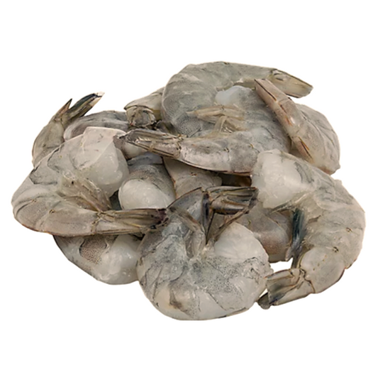SHRIMP ECUADOR HLSO 16-20