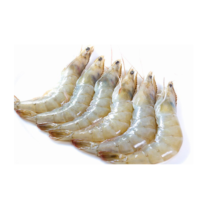 SHRIMP ECUADOR HEAD ON 61-70