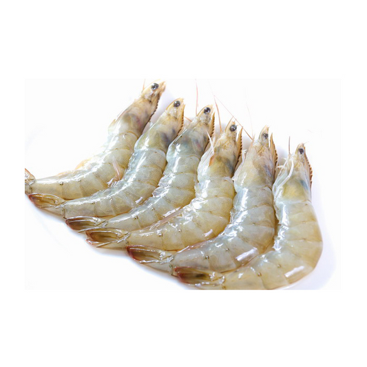SHRIMP ECUADOR HEAD ON 61-70