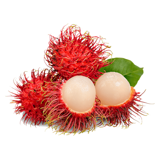 RAMBUTAN