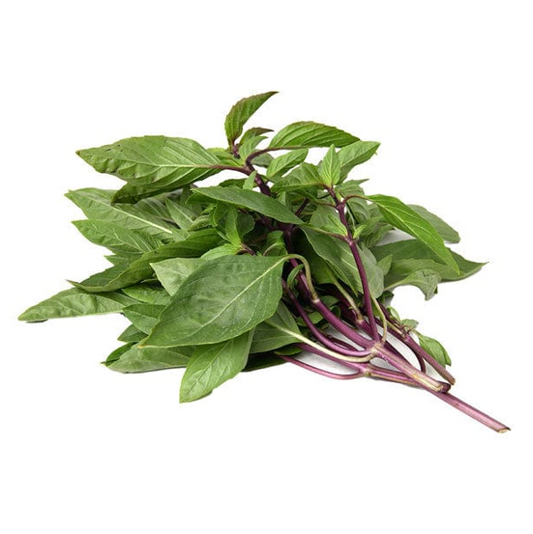 THAI BASIL