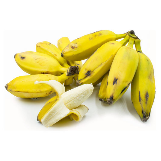 BANANA BURRO