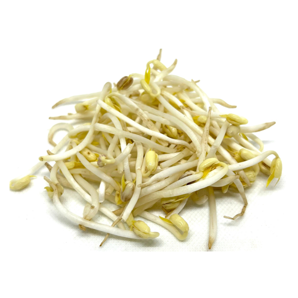 BEAN SPROUT