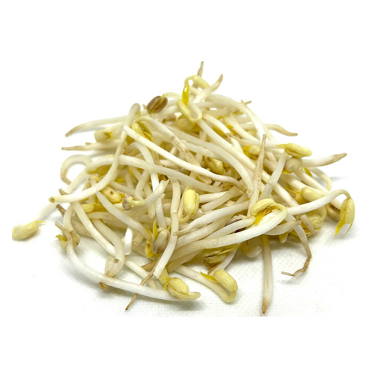 BEAN SPROUT