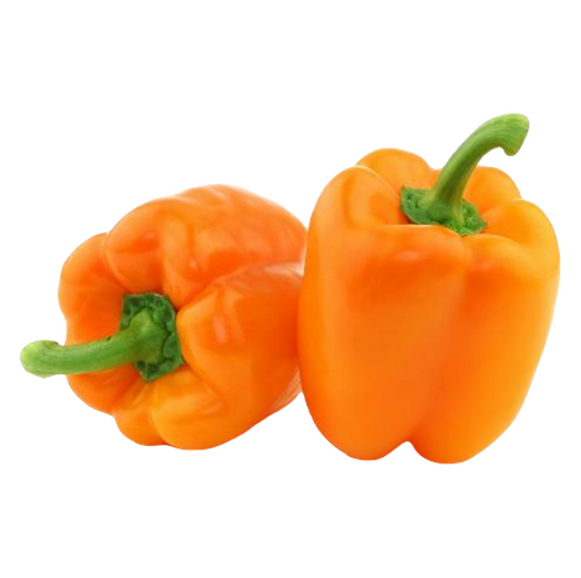BELL PEPPER ORANGE