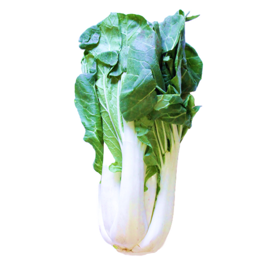 BOK CHOY