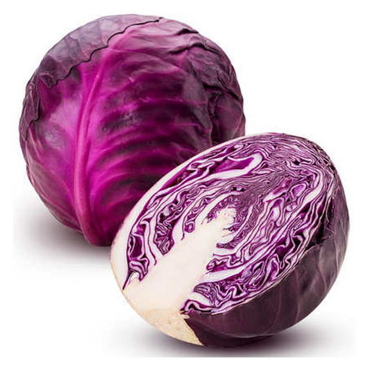 CABBAGE RED MED (SACK)
