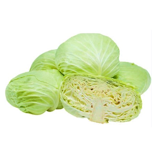 CABBAGE TAIWAN
