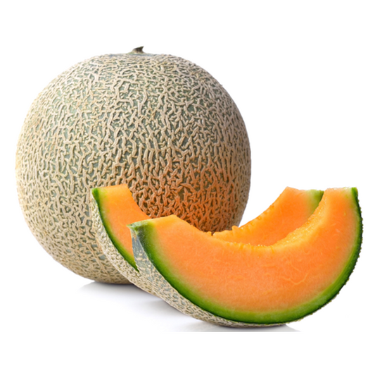 CANTALOUPE