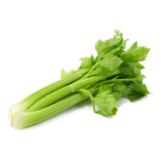 CELERY