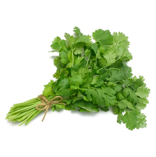 CILANTRO
