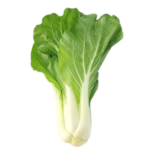 CHING CHANG CHOY
