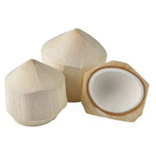 COCONUT YOUNG