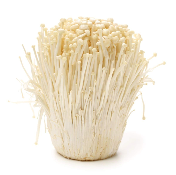 ENOKI MUSHROOM