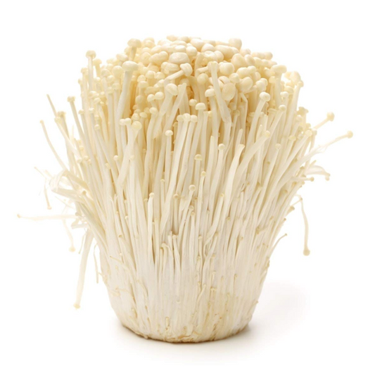ENOKI MUSHROOM