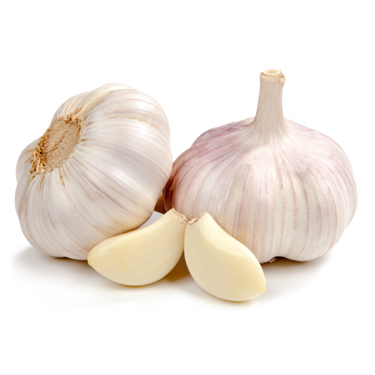GARLIC