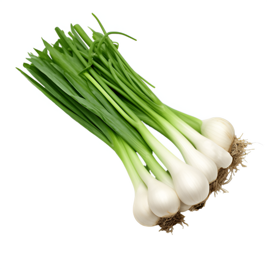 GREEN ONION CAMBRAY
