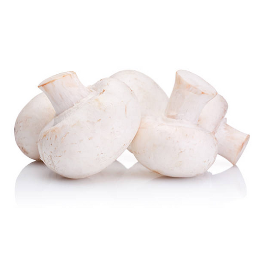 MUSHROOM WHITE USA