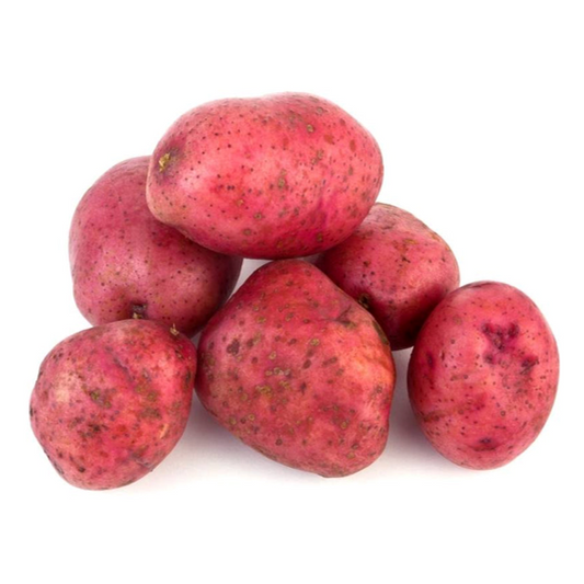 POTATO RED