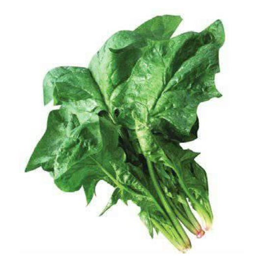 SPINACH TAIWAN