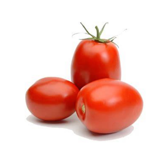 TOMATO ROMA