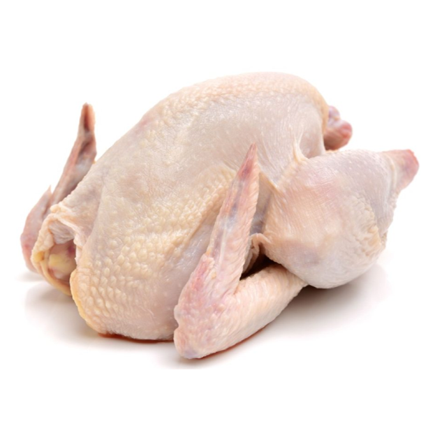 CHICKEN CORNISH HEN 16-18OZ