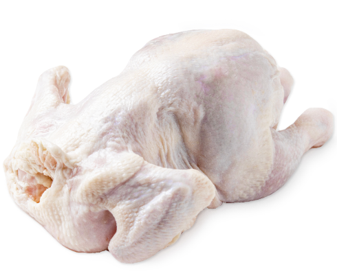 BOWN ROOSTER CHICKEN