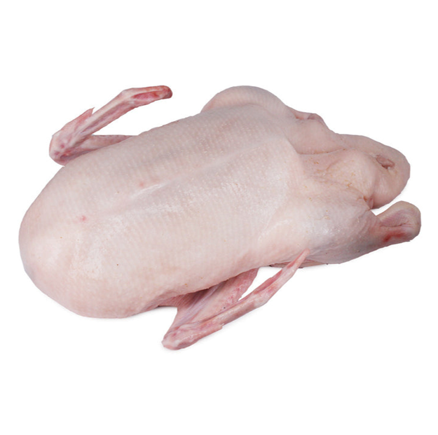 DUCK NO HEAD/FEET PBW & NTBL