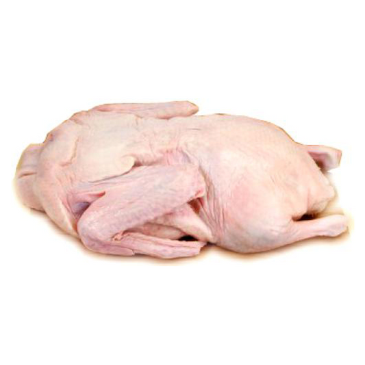 DUCK NO HEAD/FEET CULVER HOFO