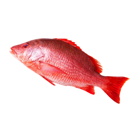 RED SNAPPER WHOLE