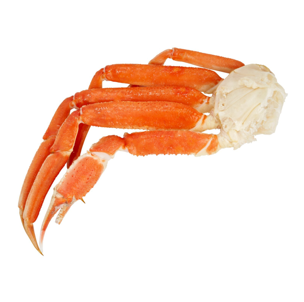 SNOW CRAB 12UP