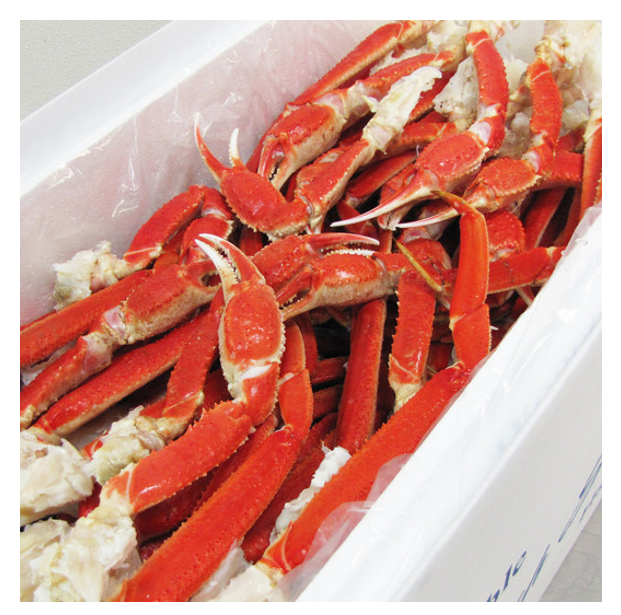 SNOW CRAB 12UP