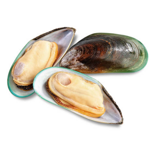 GREEN MUSSELS HALF SHELL