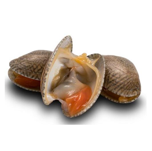 SHORT NECK CLAM