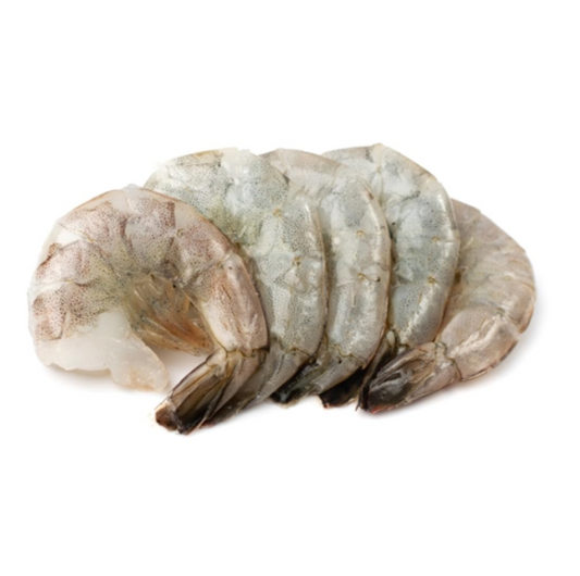 SHRIMP SOUTH AMERICA HLSO